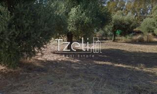 Οικόπεδο 403 τ.μ. για πώληση, Αχαΐα, Πάτρα-thumb-21