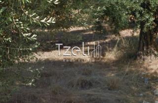 Οικόπεδο 403 τ.μ. για πώληση, Αχαΐα, Πάτρα-thumb-24