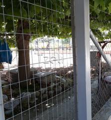 Οικόπεδο 400 τ.μ. για πώληση, Αχαΐα, Πάτρα-thumb-9