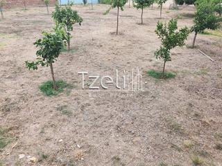 Οικόπεδο 400 τ.μ. για πώληση, Αχαΐα, Πάτρα-thumb-23