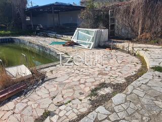 Κατάστημα 200 τ.μ. για ενοικίαση, Αχαΐα, Πάτρα-thumb-11