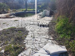 Κατάστημα 200 τ.μ. για ενοικίαση, Αχαΐα, Πάτρα-thumb-20