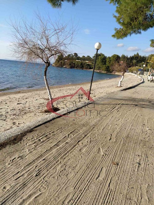 Διαμέρισμα 70τ.μ. για ενοικίαση-Σιθωνία » Νέος μαρμαράς