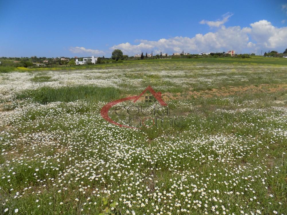 Αγροτεμάχια 19.000 τ.μ. προς πώληση, Καρδιά Θέρμης