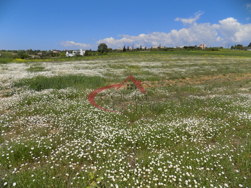 Αγροτεμάχια 19.000τ.μ. για πώληση-Θέρμη » Καρδιά