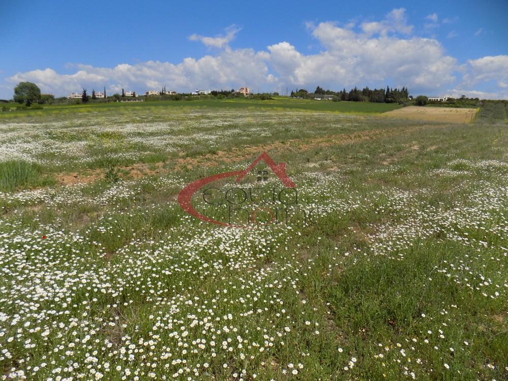 Αγροτεμάχια 19.000 τ.μ. προς πώληση, Καρδιά Θέρμης