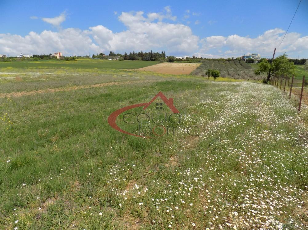 Αγροτεμάχια 19.000 τ.μ. προς πώληση, Καρδιά Θέρμης