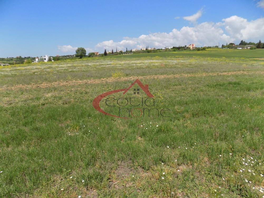 Αγροτεμάχια 19.000 τ.μ. προς πώληση, Καρδιά Θέρμης