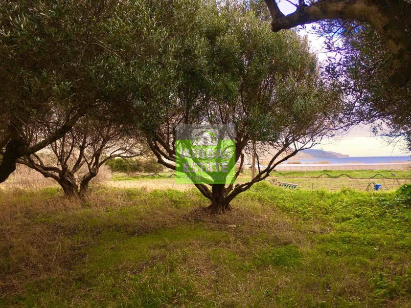 Land plot 700sqm for sale-Kissamos » Neo Chorio