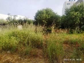 Οικόπεδο 1.250 τ.μ. προς πώληση, Αγιασμένος-thumb-1