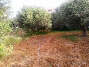 Οικόπεδο 1.250 τ.μ. προς πώληση, Αγιασμένος-thumb-2