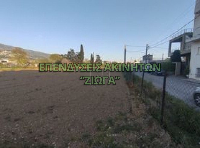 Parcel 4.737sqm for sale-Nea Ionia Volou » Nea Ionia