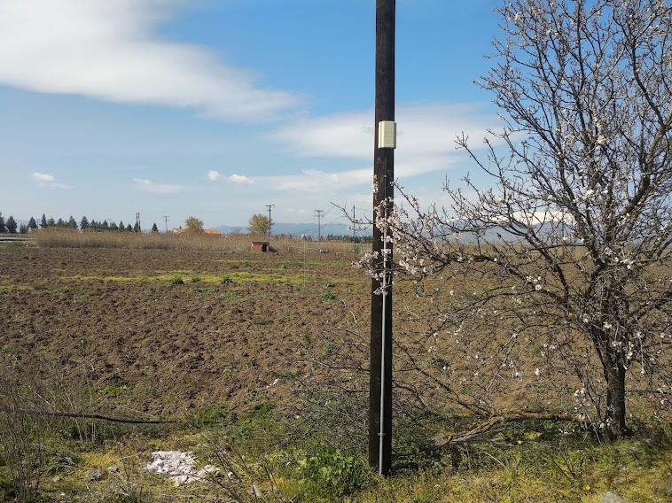 Οικόπεδο 32.000 τ.μ. πρός πώληση, Ν. Λάρισας, Λάρισα