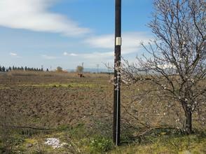 Οικόπεδο 32.000 τ.μ. για πώληση, Ν. Λάρισας, Λάρισα-thumb-1