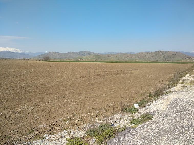 Οικόπεδο 32.000 τ.μ. πρός πώληση, Ν. Λάρισας, Λάρισα
