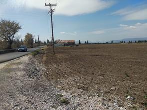 Οικόπεδο 32.000 τ.μ. για πώληση, Ν. Λάρισας, Λάρισα-thumb-5