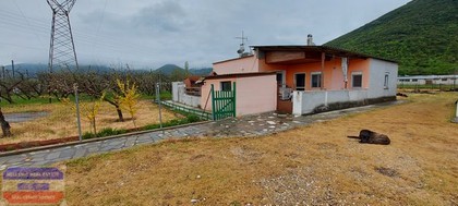 Detached home 120sqm for sale-Eleftheroupoli » Amisiana