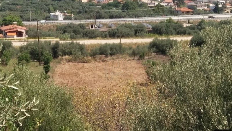 Οικόπεδο 3.200τ.μ. για πώληση-Αιγιάλεια » Πανόραμα
