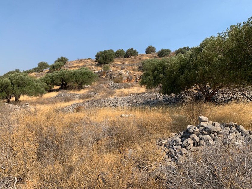 Land plot 2.260 sqm for sale, Lasithi Prefecture, Agios Nikolaos