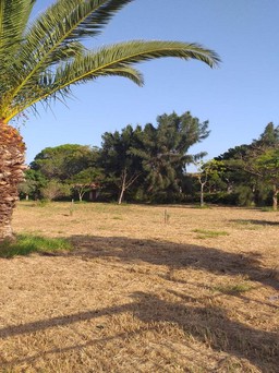 Land plot 4.000sqm for sale-Larissos » Lakkopetra