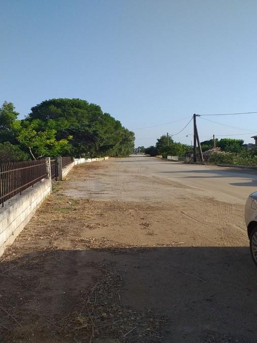 Οικόπεδο 4.000 τ.μ. πρός πώληση, Αχαΐα, Λάρισσος
