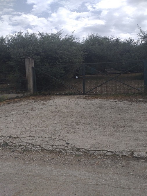 Οικόπεδο 2.500τ.μ. για πώληση-Βραχναίικα » Κέντρο