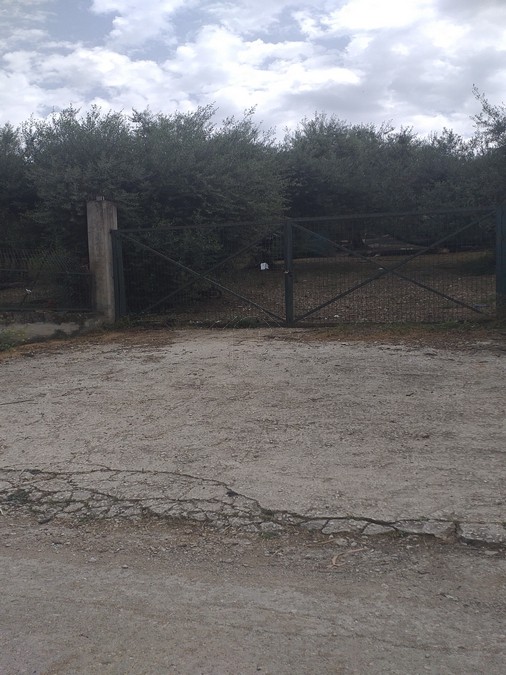 Land plot 2.500 sqm for sale, Achaia, Vrachneika