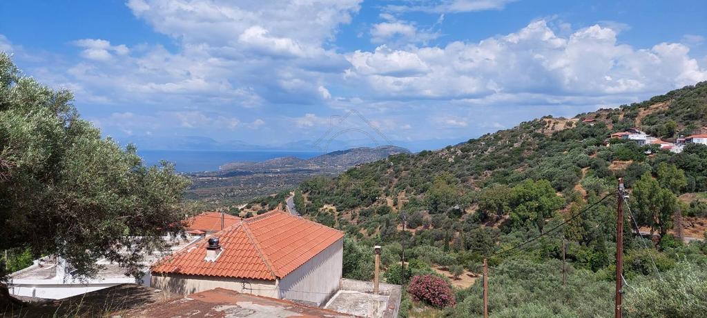 Μονοκατοικία 76 τ.μ. προς πώληση, Παντάνασσα Βοιών