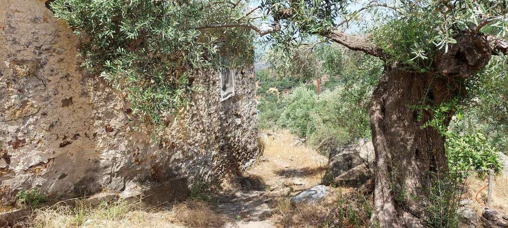 Μονοκατοικία 76 τ.μ. προς πώληση, Παντάνασσα Βοιών