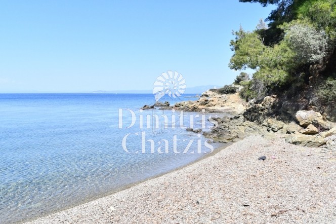Αγροτεμάχια 5.000 τ.μ. για πώληση