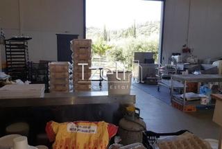 Κατάστημα 1.000 τ.μ. για πώληση, Αχαΐα, Παραλία-thumb-20