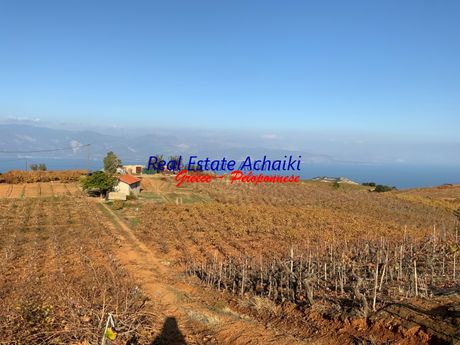 Αγροτεμάχια 16.500τ.μ. για πώληση-Ερίνεο » Αρραβωνίτσα