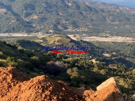 Αγροτεμάχια 15.500τ.μ. για πώληση-Ερίνεο » Αρραβωνίτσα