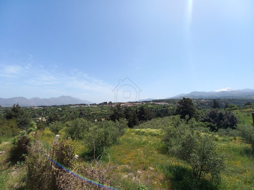 Αγροτεμάχια 6.500τ.μ. για πώληση-Γεροπόταμος » Βεργιανά
