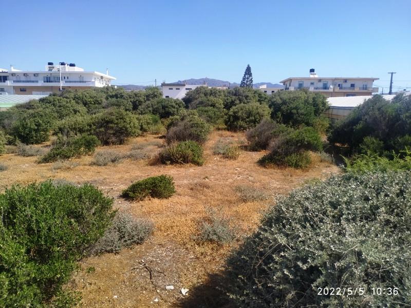 Αγροτεμάχια 1.200 τ.μ. πρός πώληση, Ν. Λασιθίου, Ιεράπετρα