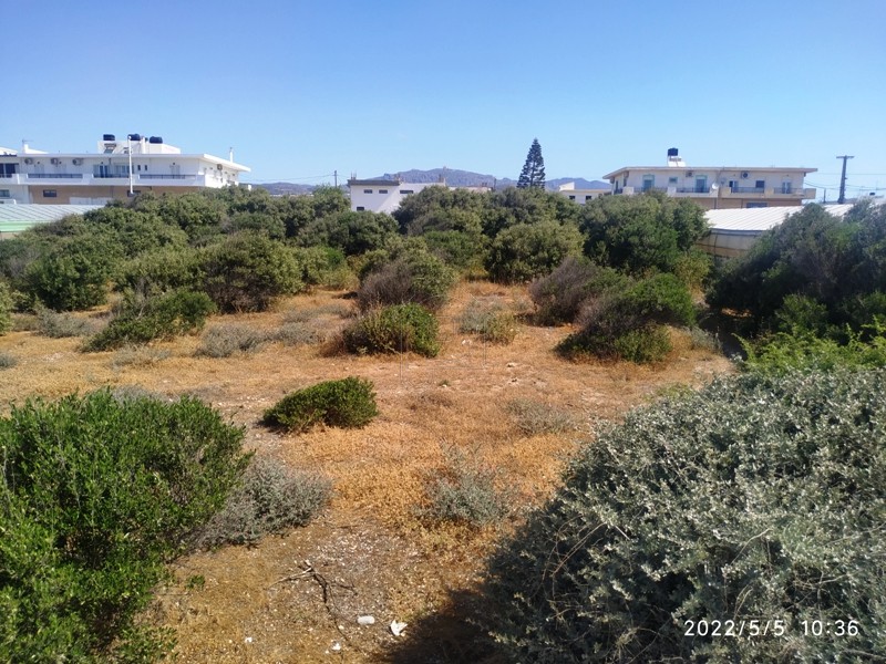 Αγροτεμάχια 1.200τ.μ. για πώληση-Ιεράπετρα » Γρα λυγιά