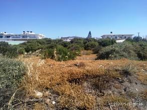 Αγροτεμάχια 1.200 τ.μ. προς πώληση, Γρα Λυγιά-thumb-1