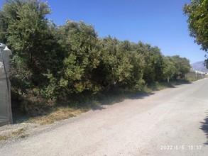 Αγροτεμάχια 1.200 τ.μ. προς πώληση, Γρα Λυγιά-thumb-2