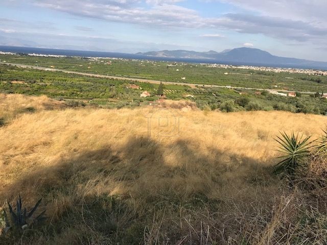 Οικόπεδο 1.277 τ.μ. για πώληση