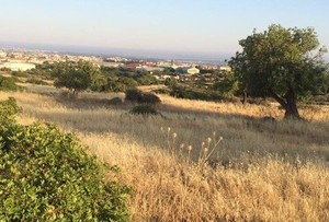 Land plot 6.261sqm for sale-