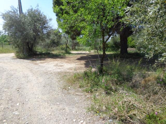 Αγροτεμάχια 500 τ.μ. πρός πώληση, Εύβοια, Αμάρυνθος