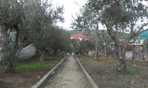 Μονοκατοικία 150 τ.μ. για πώληση, Ν. Δράμας, Νικηφόρος-thumb-12