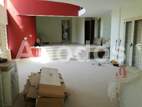 Μονοκατοικία 465 τ.μ. προς πώληση, Διώνη Πικερμίου