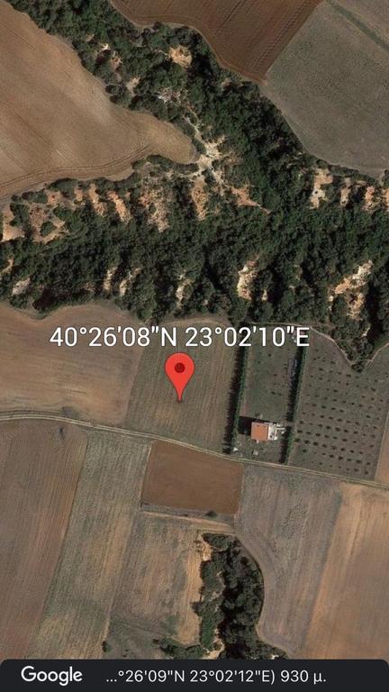 Αγροτεμάχια 6.250 τ.μ. προς πώληση, Κάτω Σχολάρι