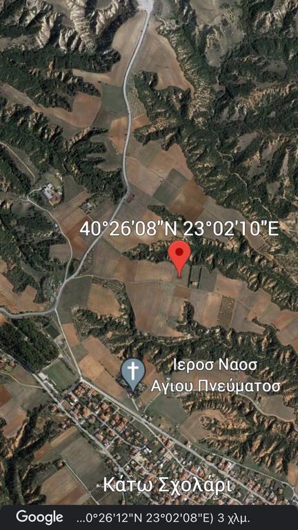 Αγροτεμάχια 6.250 τ.μ. προς πώληση, Κάτω Σχολάρι