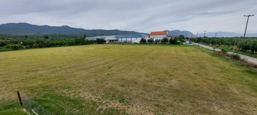 Αγροτεμάχια 10.000 τ.μ. πρός πώληση, Αιτωλοακαρνανία, Ιερά Πόλη Μεσολογγίου