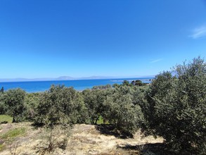 Αγροτεμάχια 18.000τ.μ. για πώληση-Δυτικής αχαΐας » Αλυκές