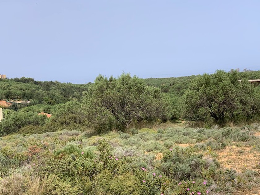 Land plot 3.721 sqm for sale