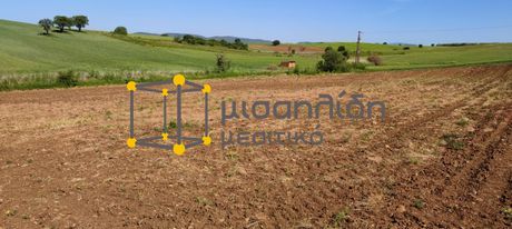 Αγροτεμάχια 3.500τ.μ. για πώληση-Αλεξανδρούπολη » Απαλός