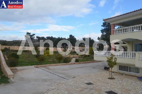 Detached home 460 sqm for sale, Athens - East, Anthoisa